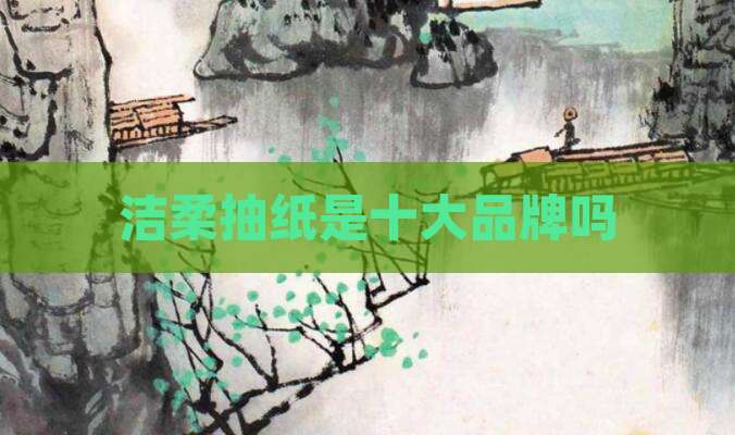 洁柔抽纸是十大品牌吗
