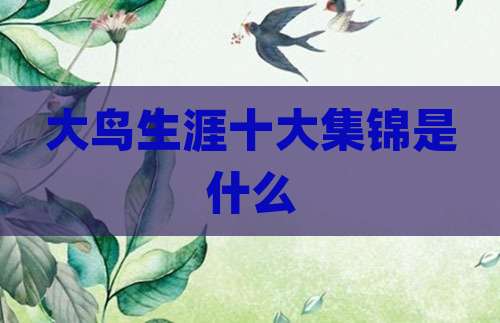 大鸟生涯十大集锦是什么