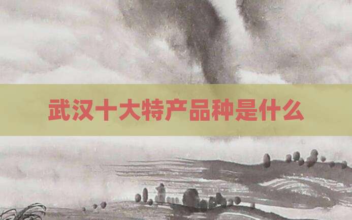 武汉十大特产品种是什么