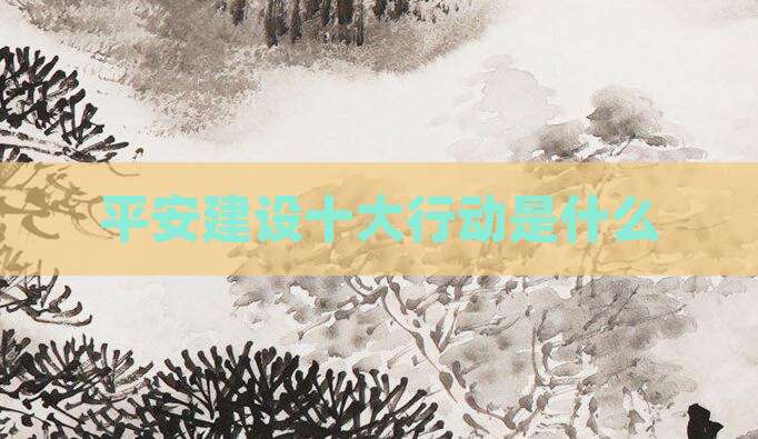 平安建设十大行动是什么
