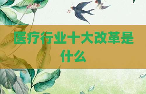 医疗行业十大改革是什么