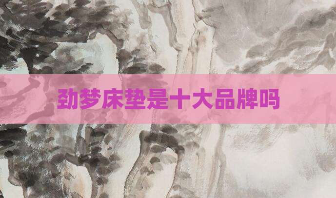 劲梦床垫是十大品牌吗