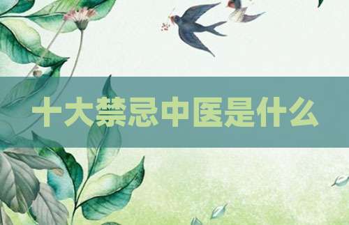 十大禁忌中医是什么