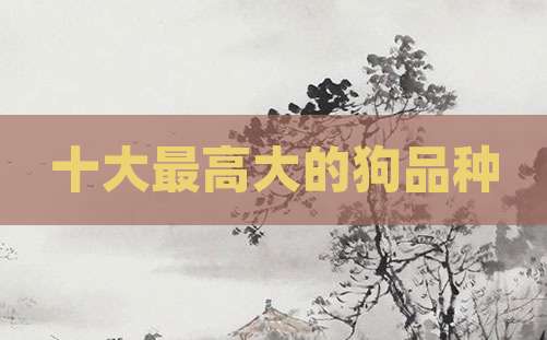 十大最高大的狗品种