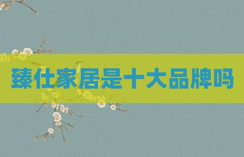 臻仕家居是十大品牌吗