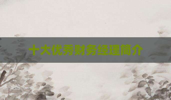 十大优秀财务经理简介