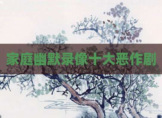 家庭幽默录像十大恶作剧