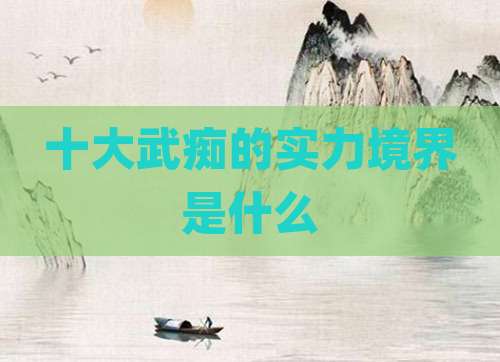 十大武痴的实力境界是什么