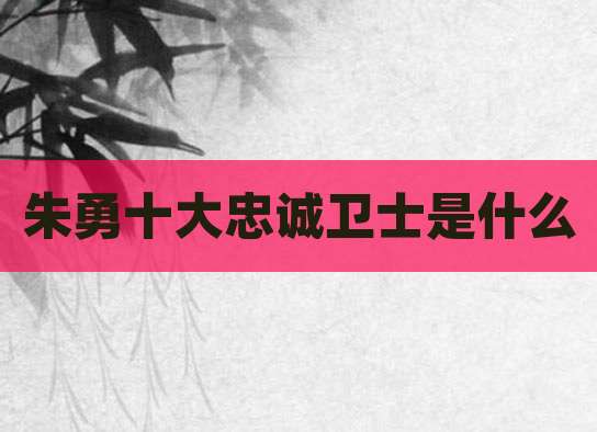 朱勇十大忠诚卫士是什么
