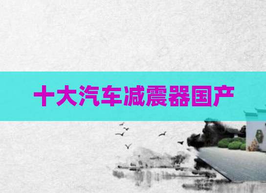 十大汽车减震器国产