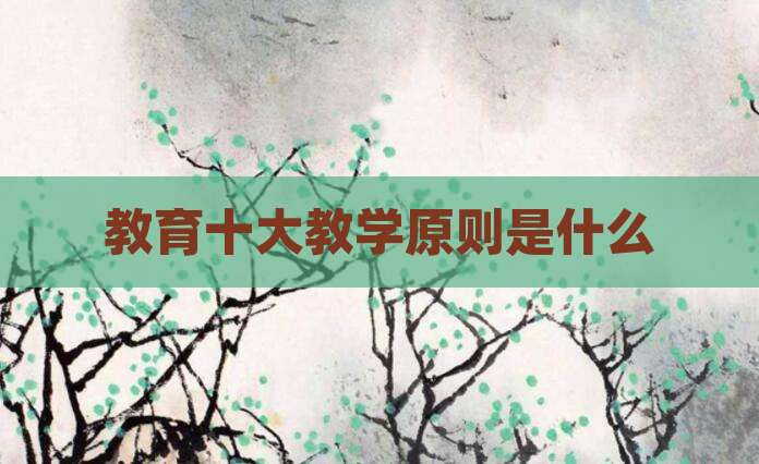 教育十大教学原则是什么