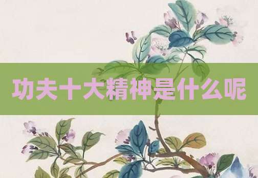 功夫十大精神是什么呢