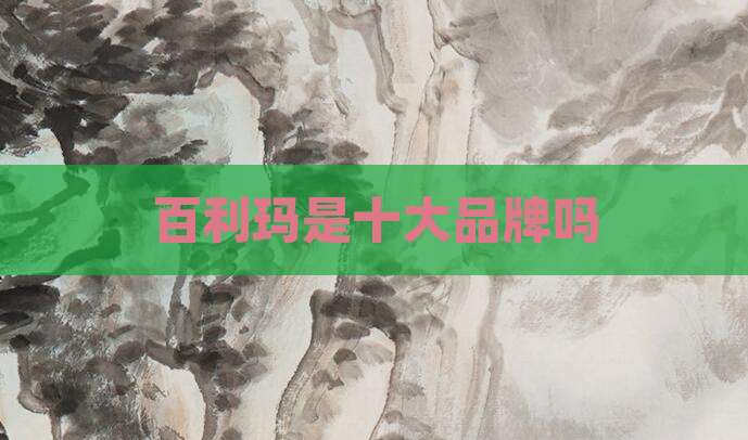 百利玛是十大品牌吗