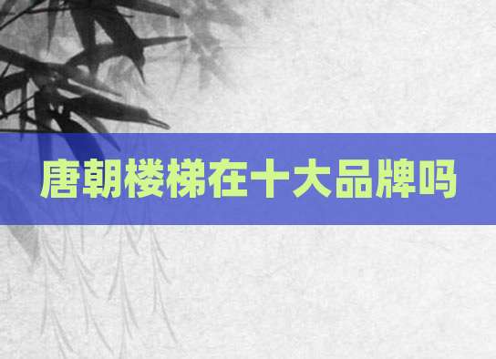 唐朝楼梯在十大品牌吗