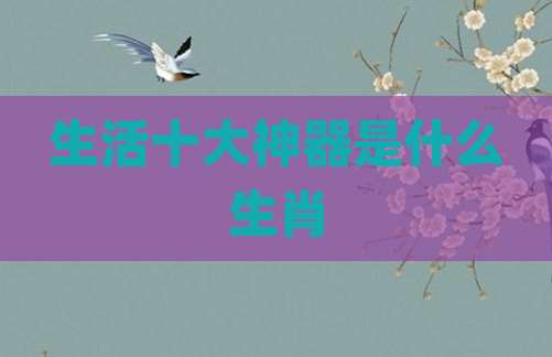 生活十大神器是什么生肖