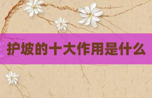 护坡的十大作用是什么