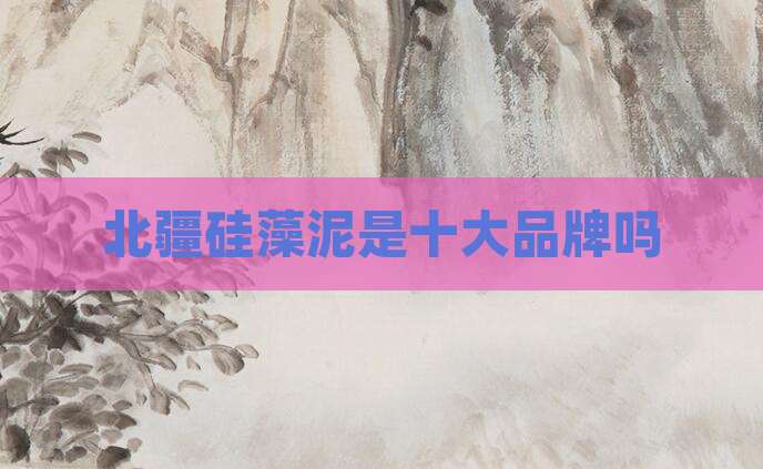北疆硅藻泥是十大品牌吗