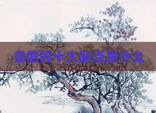自信的十大缺点是什么