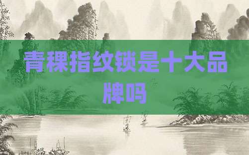 青稞指纹锁是十大品牌吗