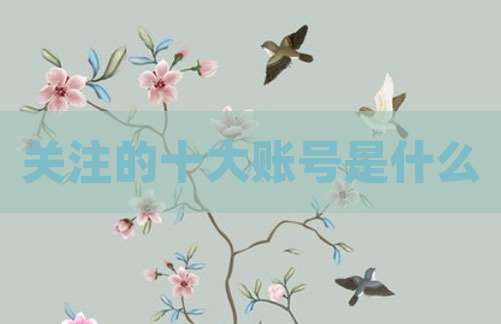 关注的十大账号是什么