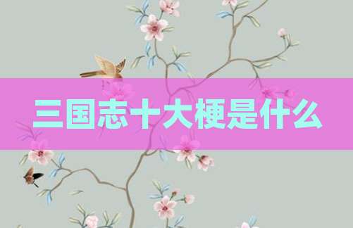 三国志十大梗是什么