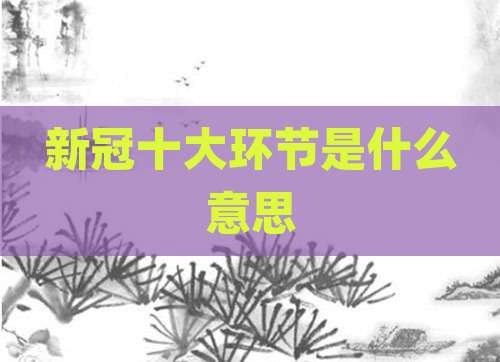 新冠十大环节是什么意思