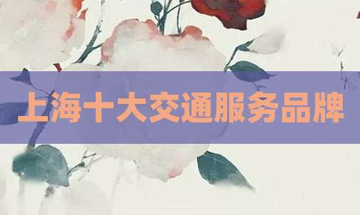 上海十大交通服务品牌