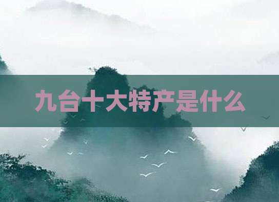 九台十大特产是什么