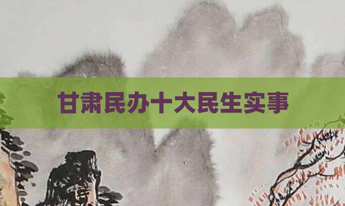 甘肃民办十大民生实事
