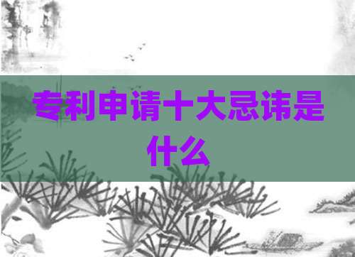 专利申请十大忌讳是什么