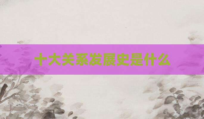 十大关系发展史是什么