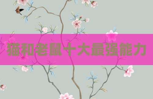 猫和老鼠十大最强能力