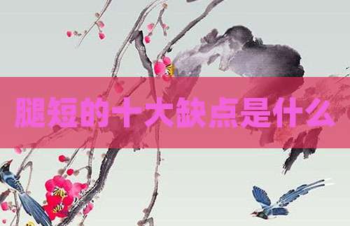腿短的十大缺点是什么