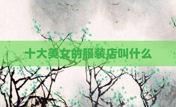 十大美女的服装店叫什么