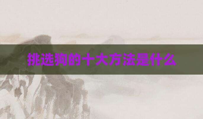 挑选狗的十大方法是什么