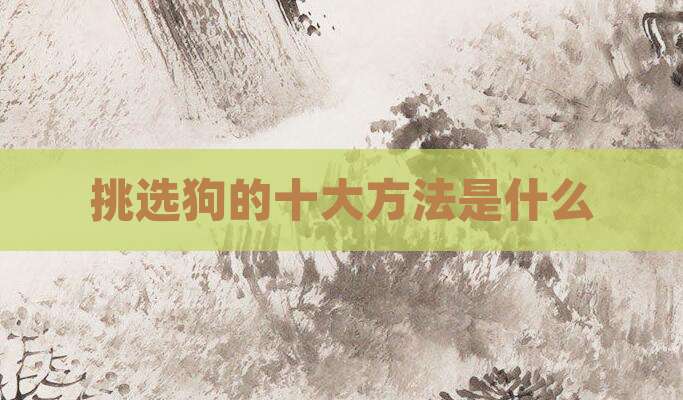 挑选狗的十大方法是什么