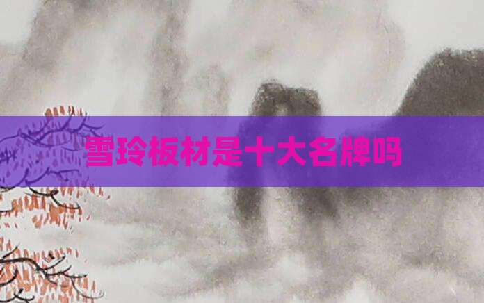 雪玲板材是十大名牌吗