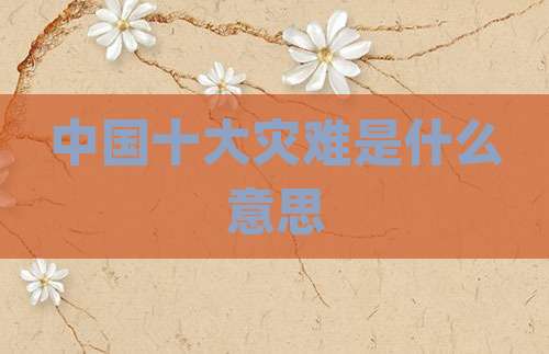 中国十大灾难是什么意思