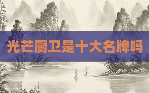 光芒厨卫是十大名牌吗