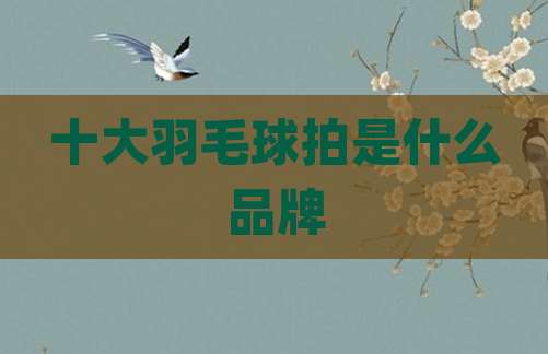 十大羽毛球拍是什么品牌