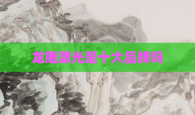 龙雕激光是十大品牌吗