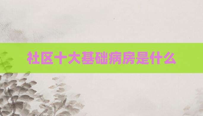 社区十大基础病房是什么