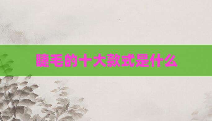 睫毛的十大款式是什么