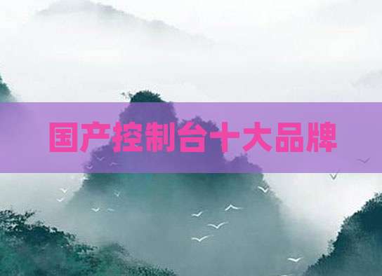 国产控制台十大品牌