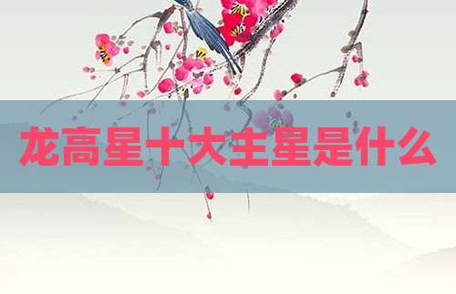 龙高星十大主星是什么