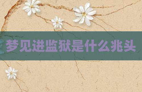 梦见进监狱是什么兆头