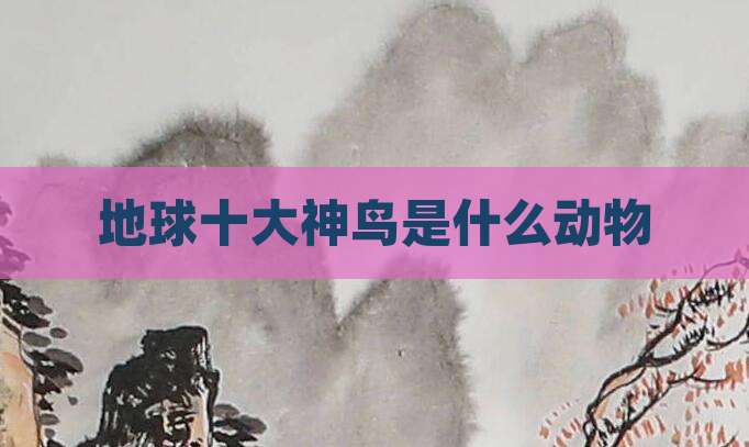 地球十大神鸟是什么动物