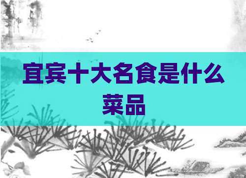 宜宾十大名食是什么菜品