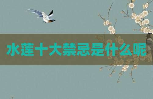 水莲十大禁忌是什么呢