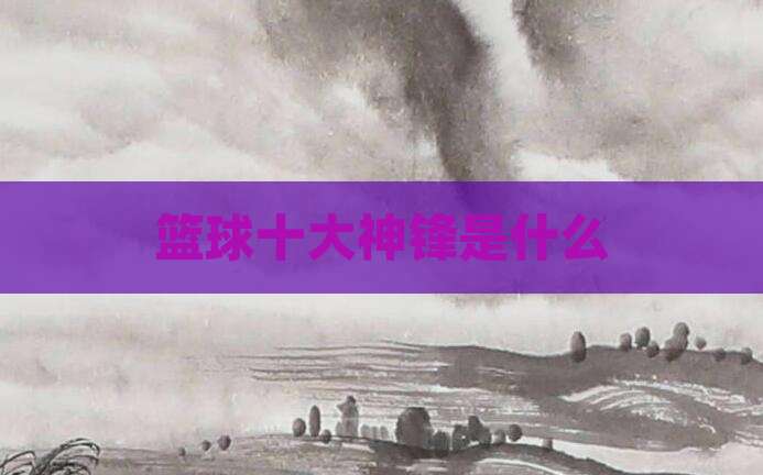 篮球十大神锋是什么